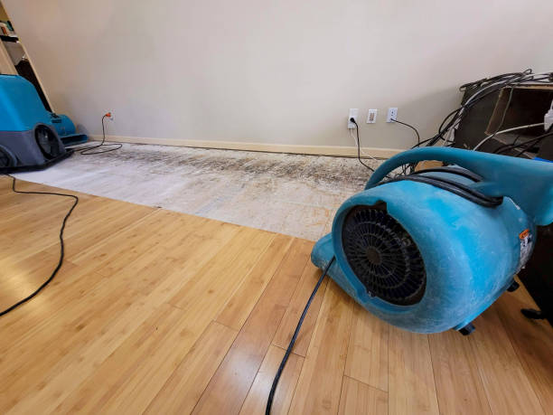 Professional Structural Drying technician working in Crestwood, IL